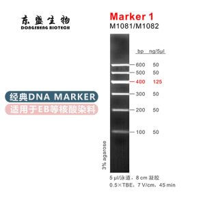 Marker 1 DNA Marker M1081/M1082