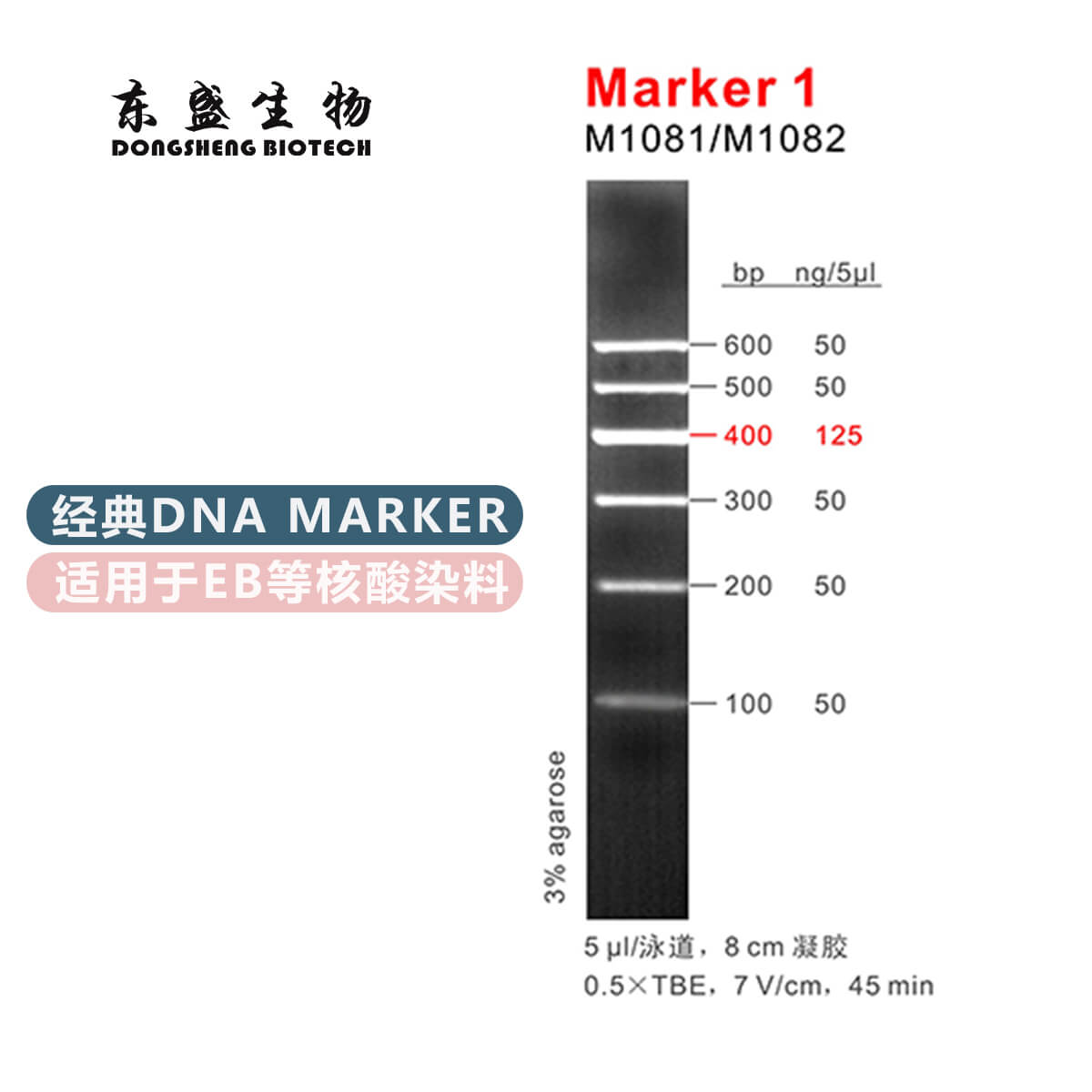 Marker 1 DNA Marker M1081/M1082