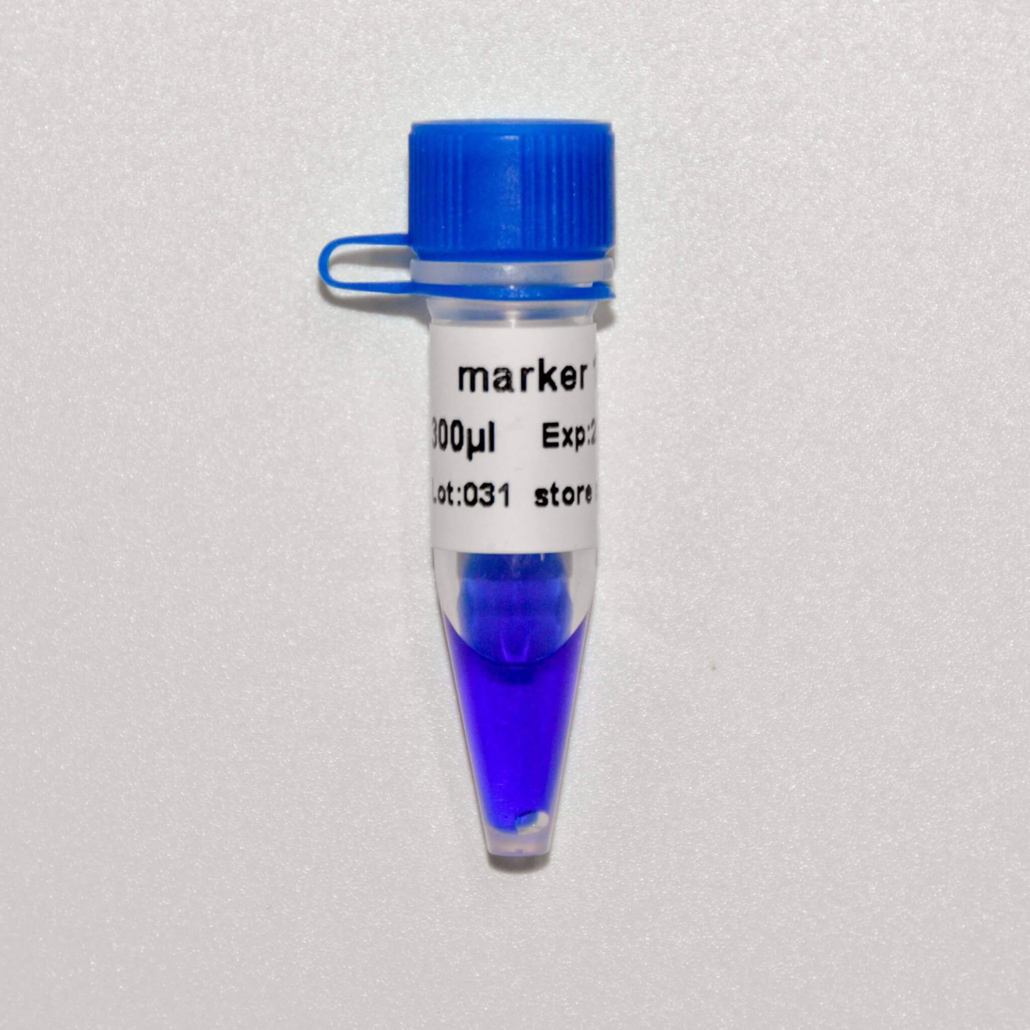 Marker 1 DNA Marker M1081/M1082