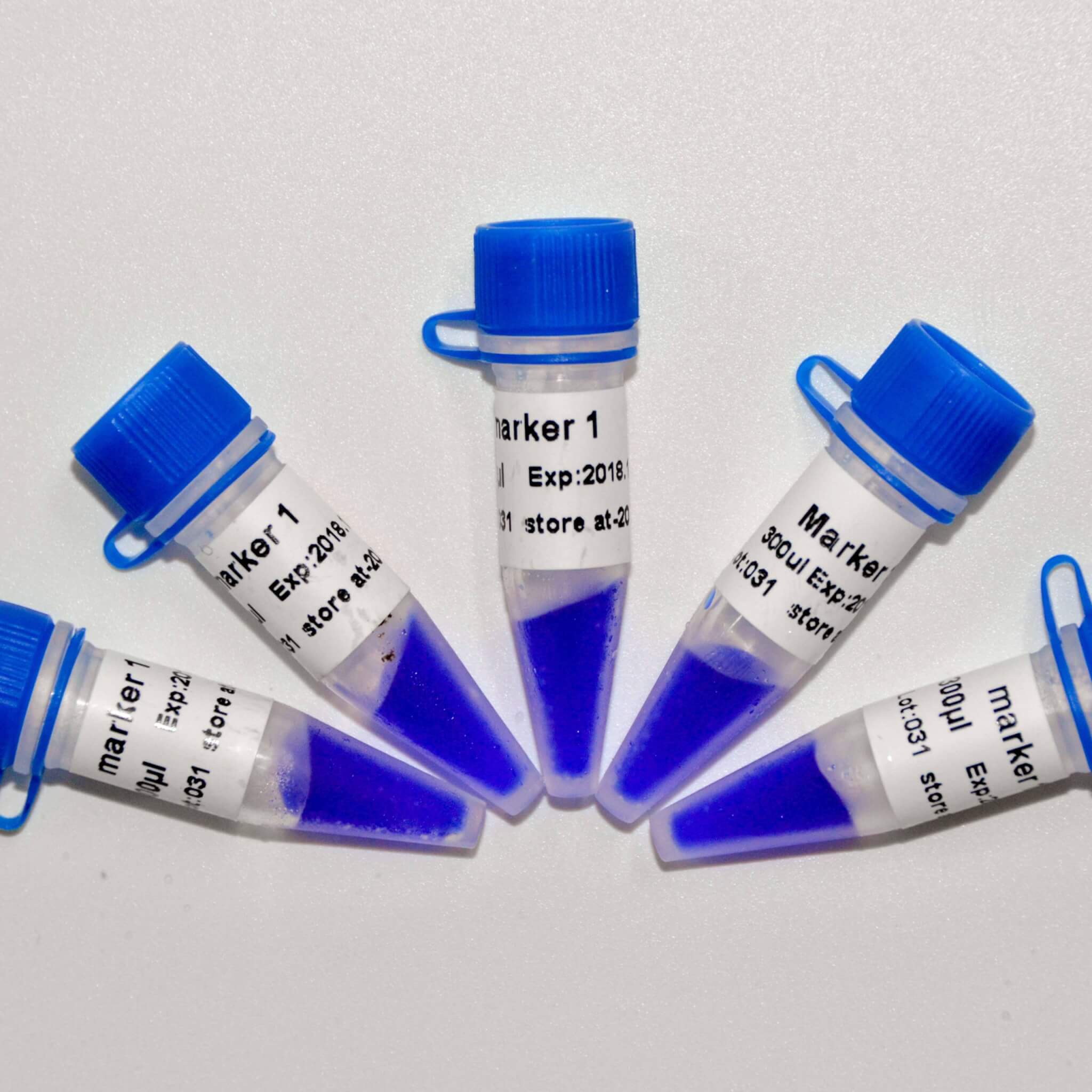 Marker 1 DNA Marker M1081/M1082