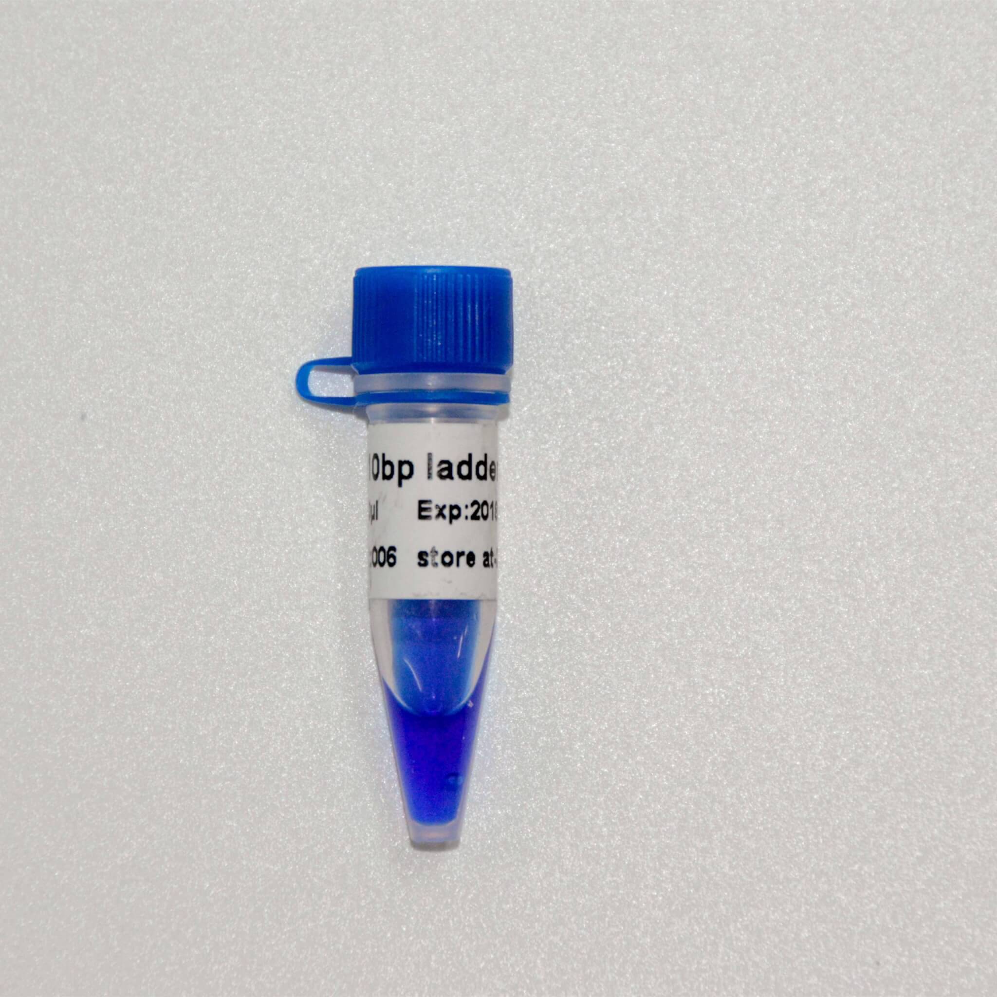 10bp Ladder DNA Marker M1011/M1012