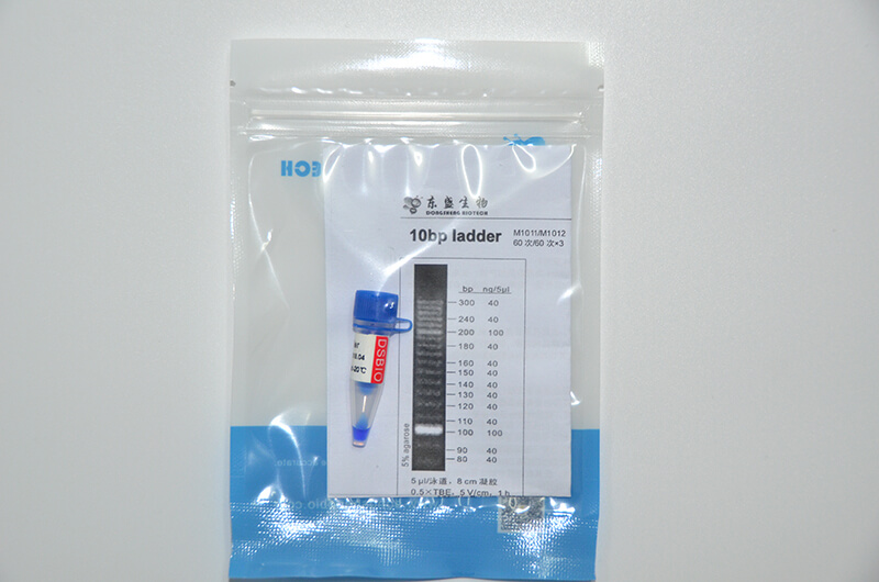 10bp Ladder DNA Marker M1011/M1012
