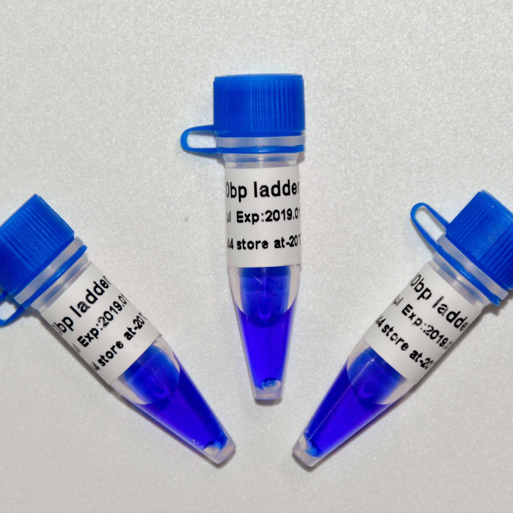 100bp Ladder DNA Marker M1061/M1062