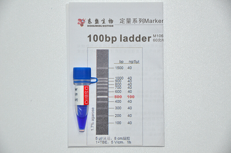 100bp Ladder DNA Marker M1061/M1062