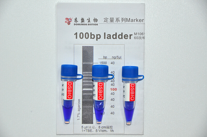 100bp Ladder DNA Marker M1061/M1062