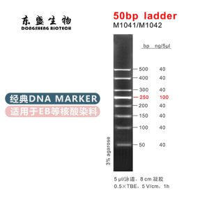 50bp Ladder DNA Marker M1041/M1042