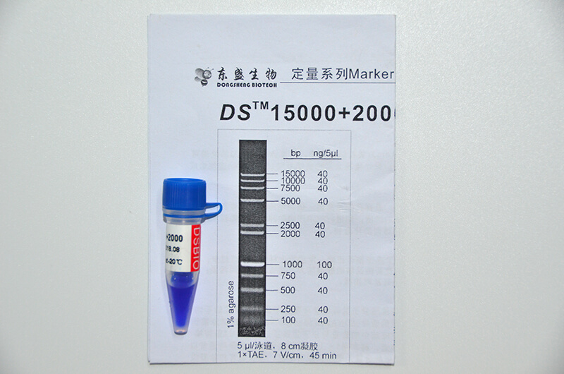 DS15000+2000 DNA Marker M1241/M1242