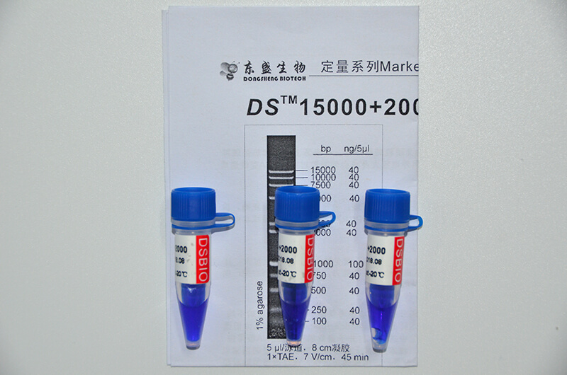 DS15000+2000 DNA Marker M1241/M1242