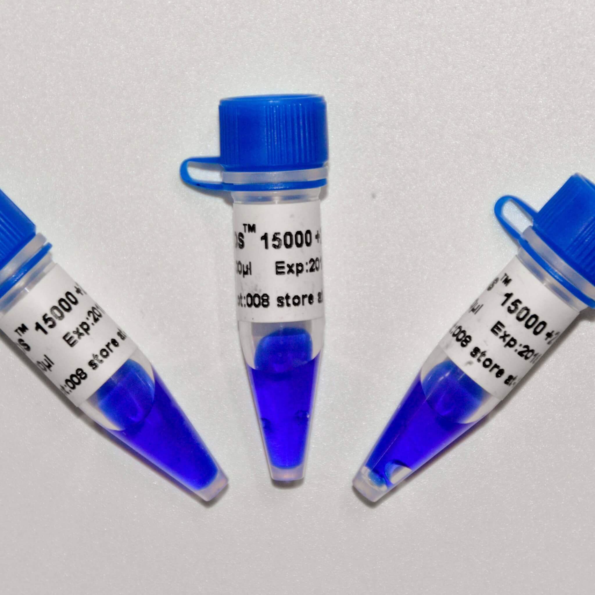 DS15000+2000 DNA Marker M1241/M1242