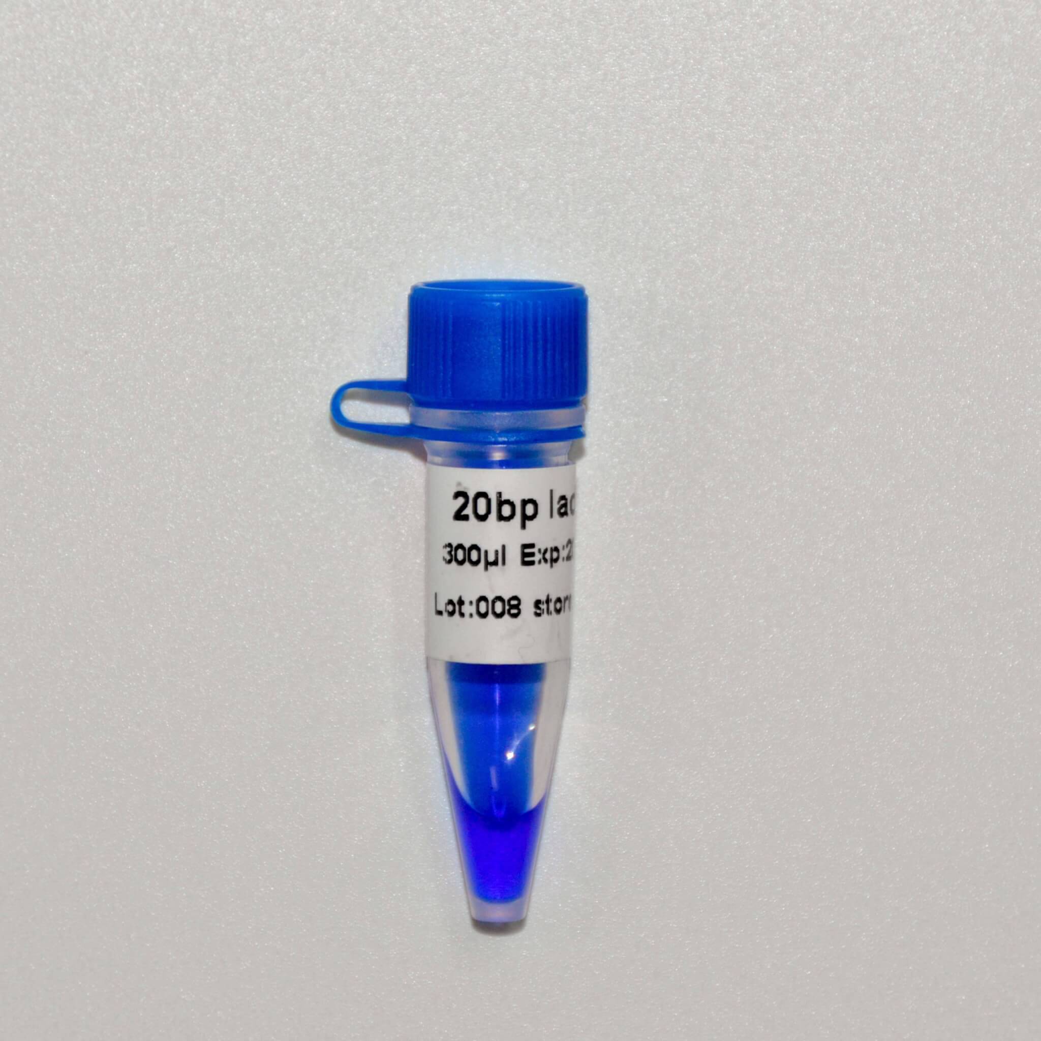 20bp Ladder DNA Marker M1021/M1022