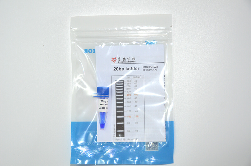 20bp Ladder DNA Marker M1021/M1022