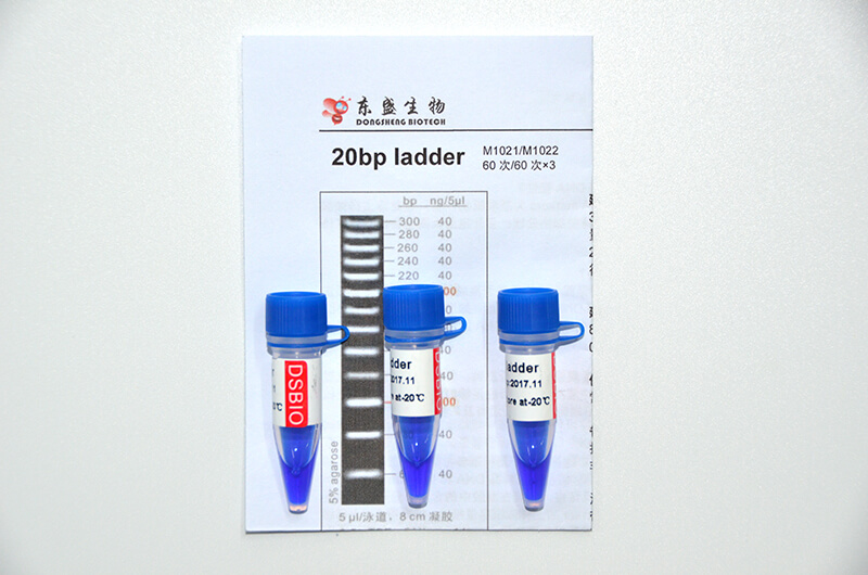 20bp Ladder DNA Marker M1021/M1022