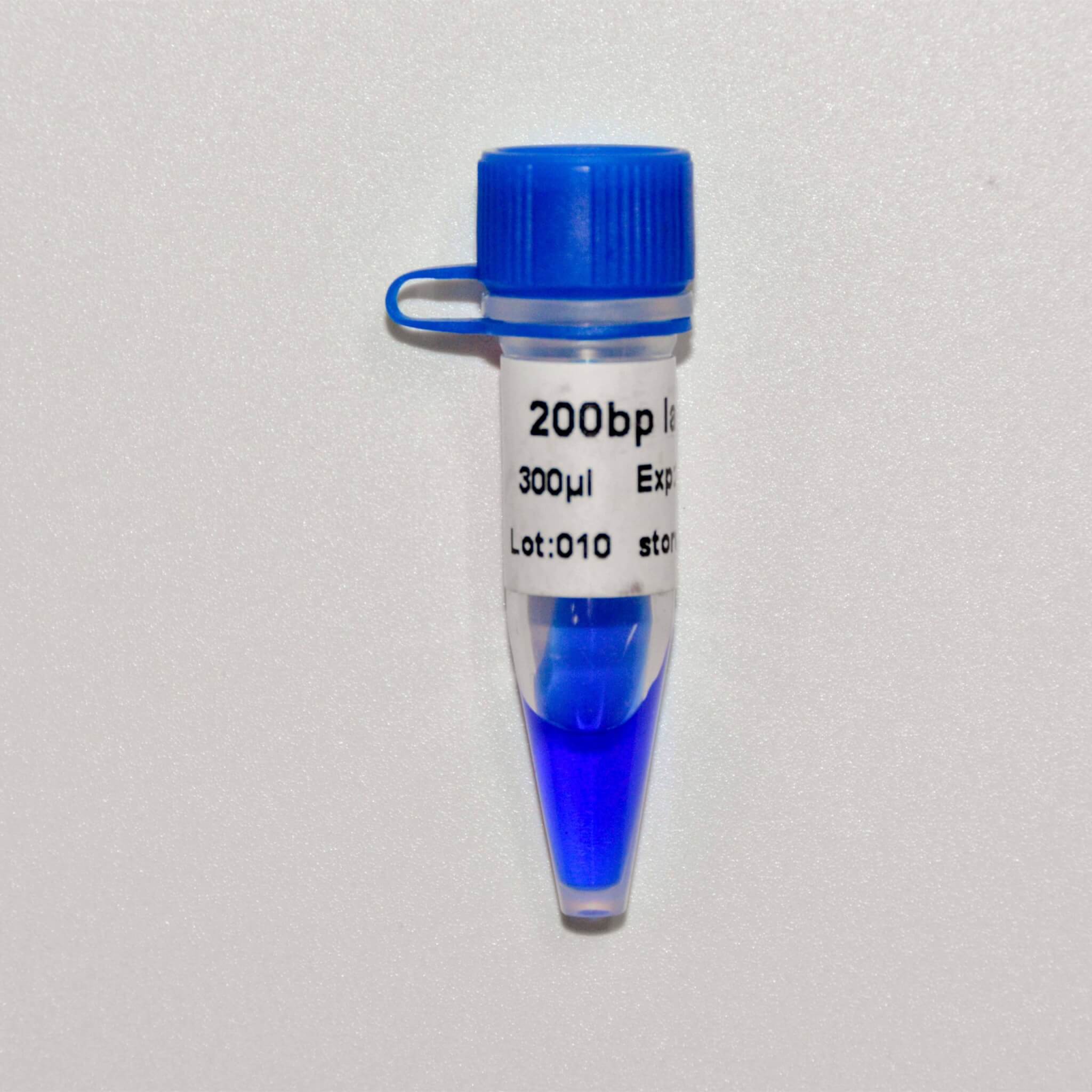 200bp Ladder DNA Marker M1151/M1152