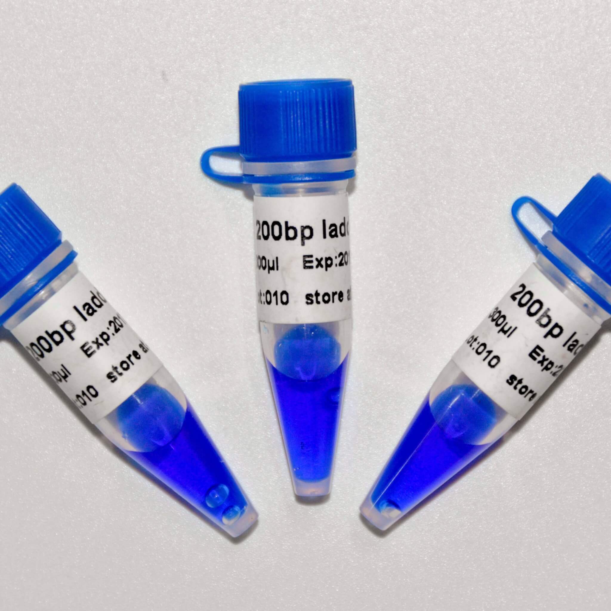 200bp Ladder DNA Marker M1151/M1152