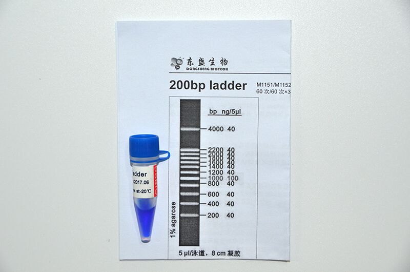 200bp Ladder DNA Marker M1151/M1152