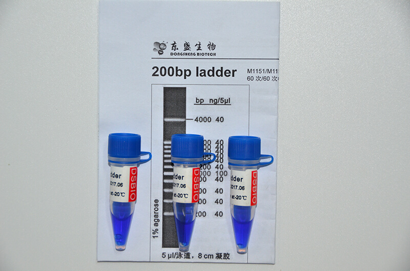 200bp Ladder DNA Marker M1151/M1152