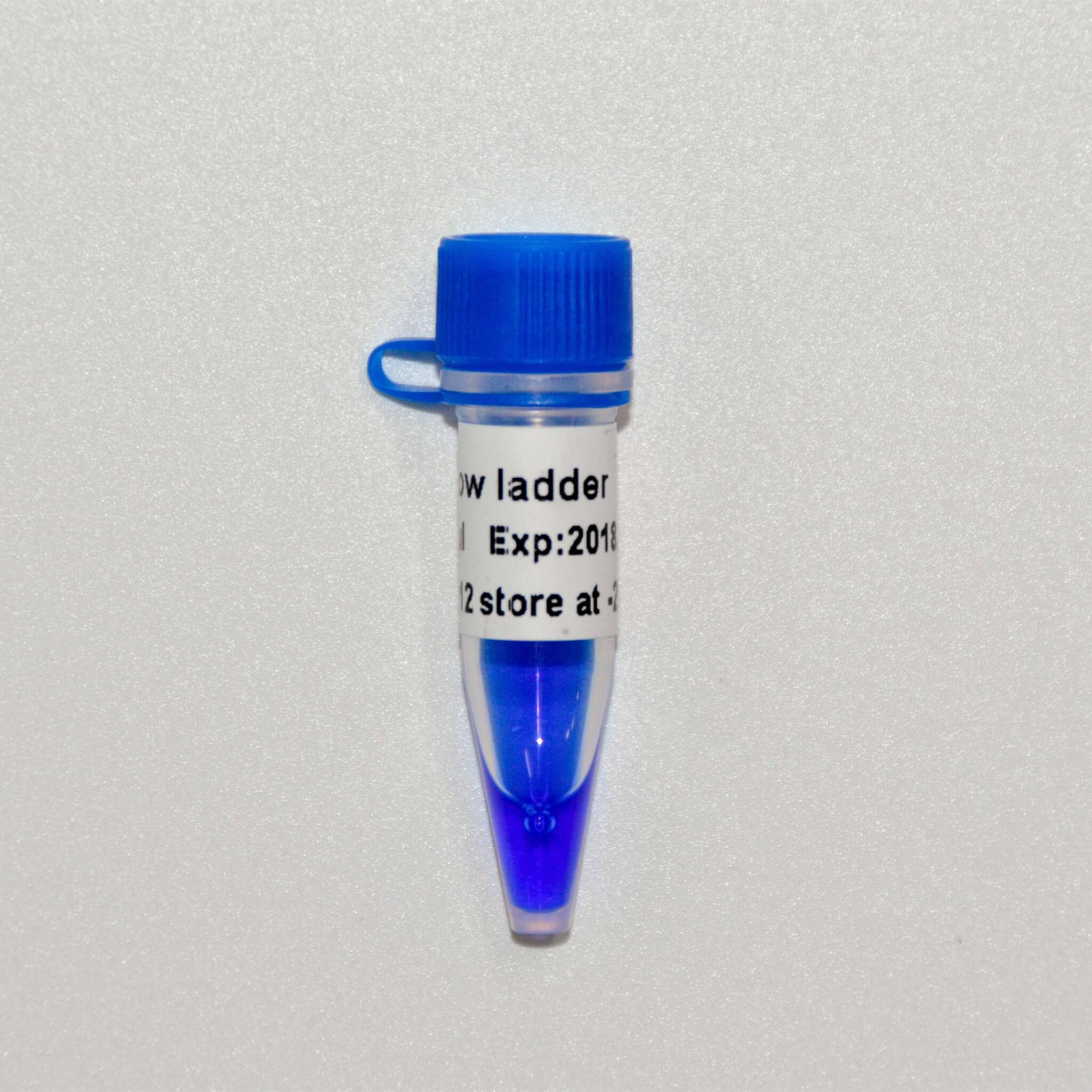 Low Ladder DNA Marker M1031/M1032