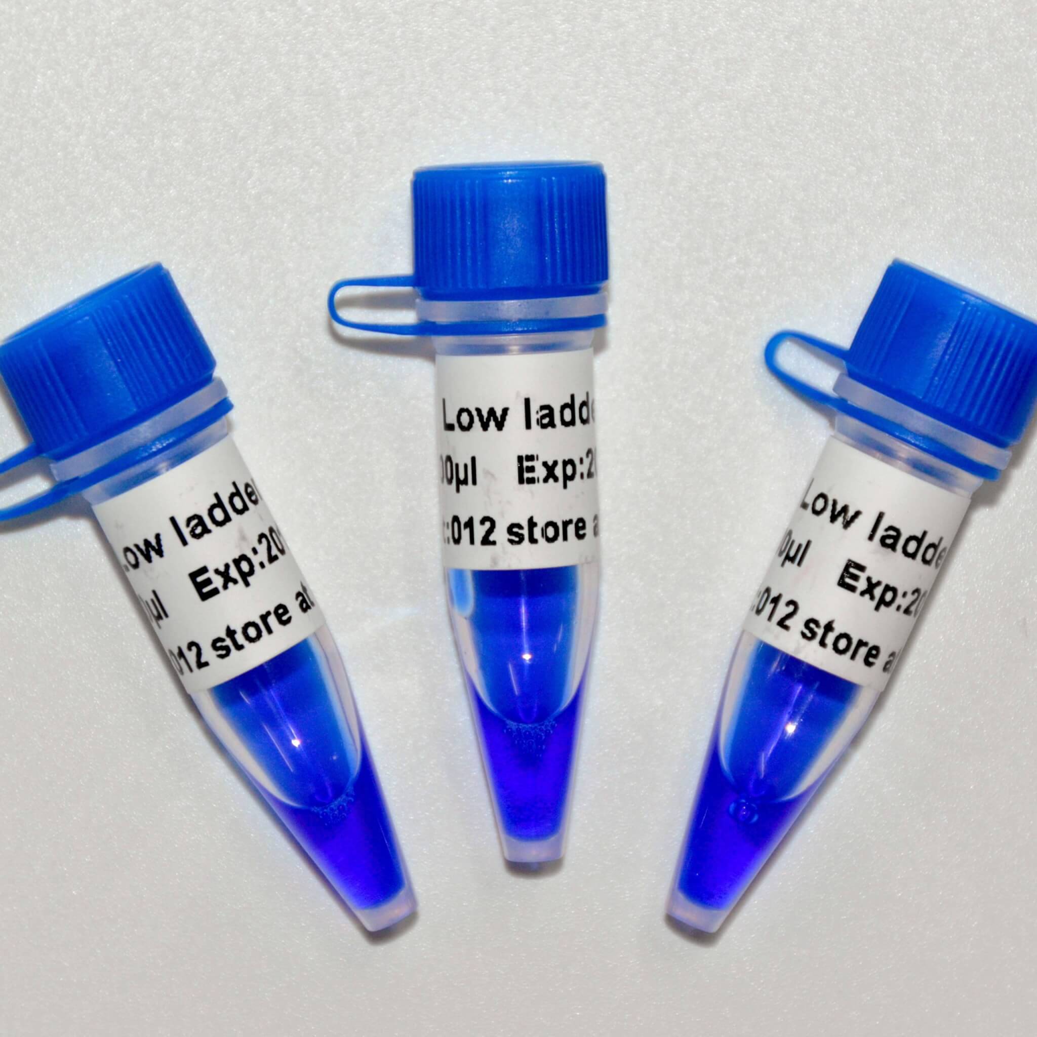 Low Ladder DNA Marker M1031/M1032