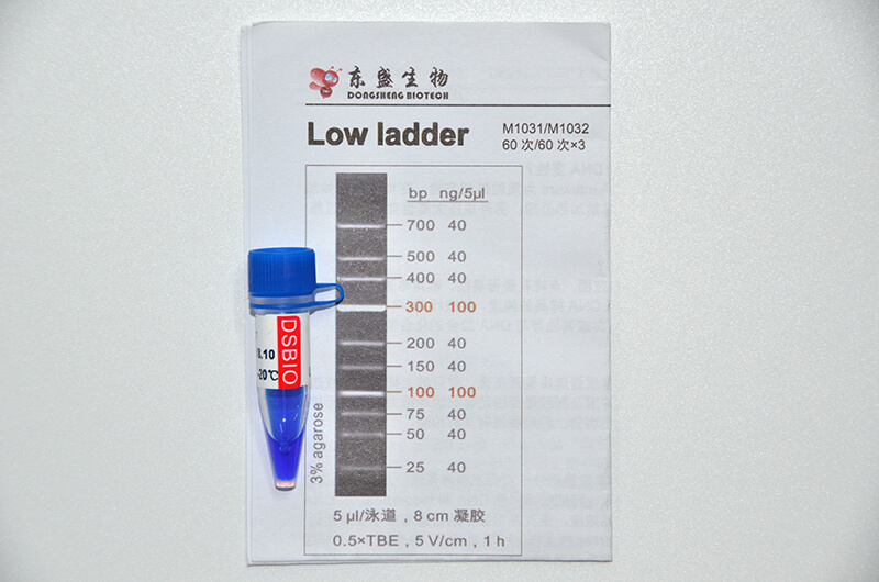 Low Ladder DNA Marker M1031/M1032