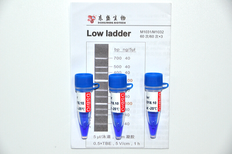 Low Ladder DNA Marker M1031/M1032