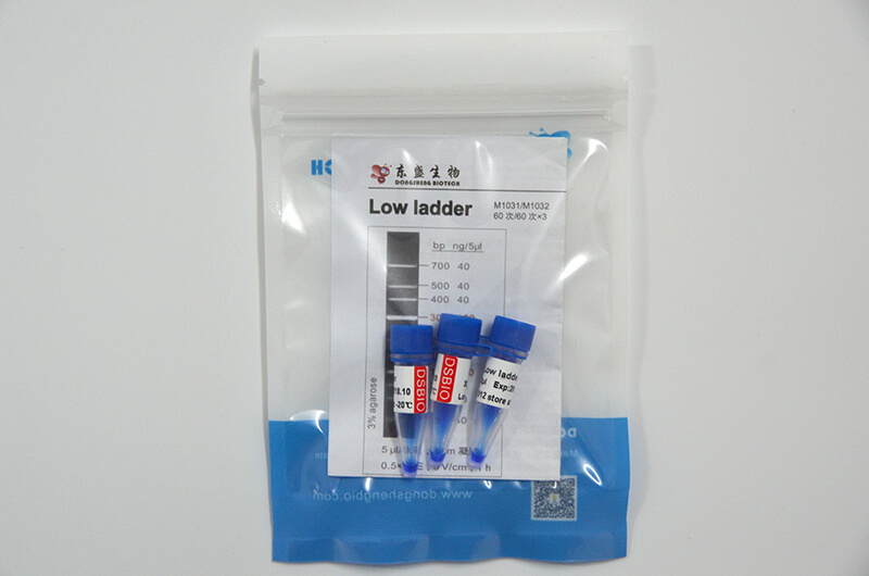 Low Ladder DNA Marker M1031/M1032