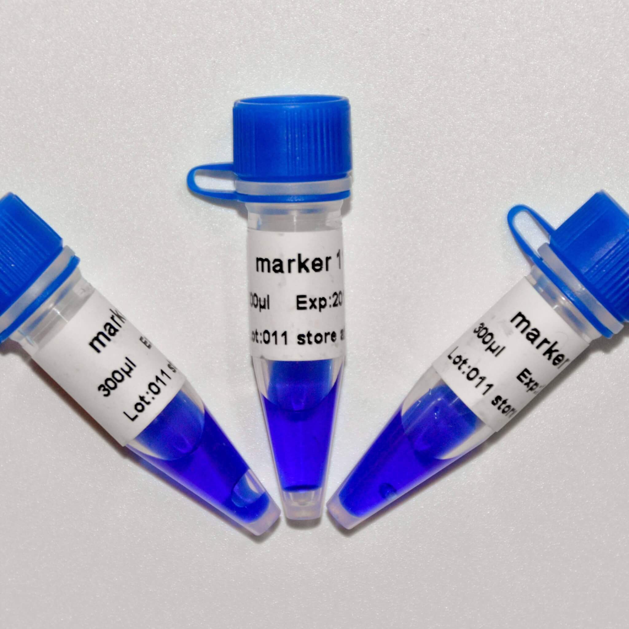 Marker 11 DNA Marker M1131/M1132