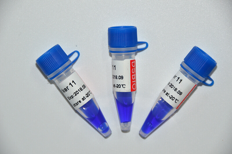 Marker 11 DNA Marker M1131/M1132
