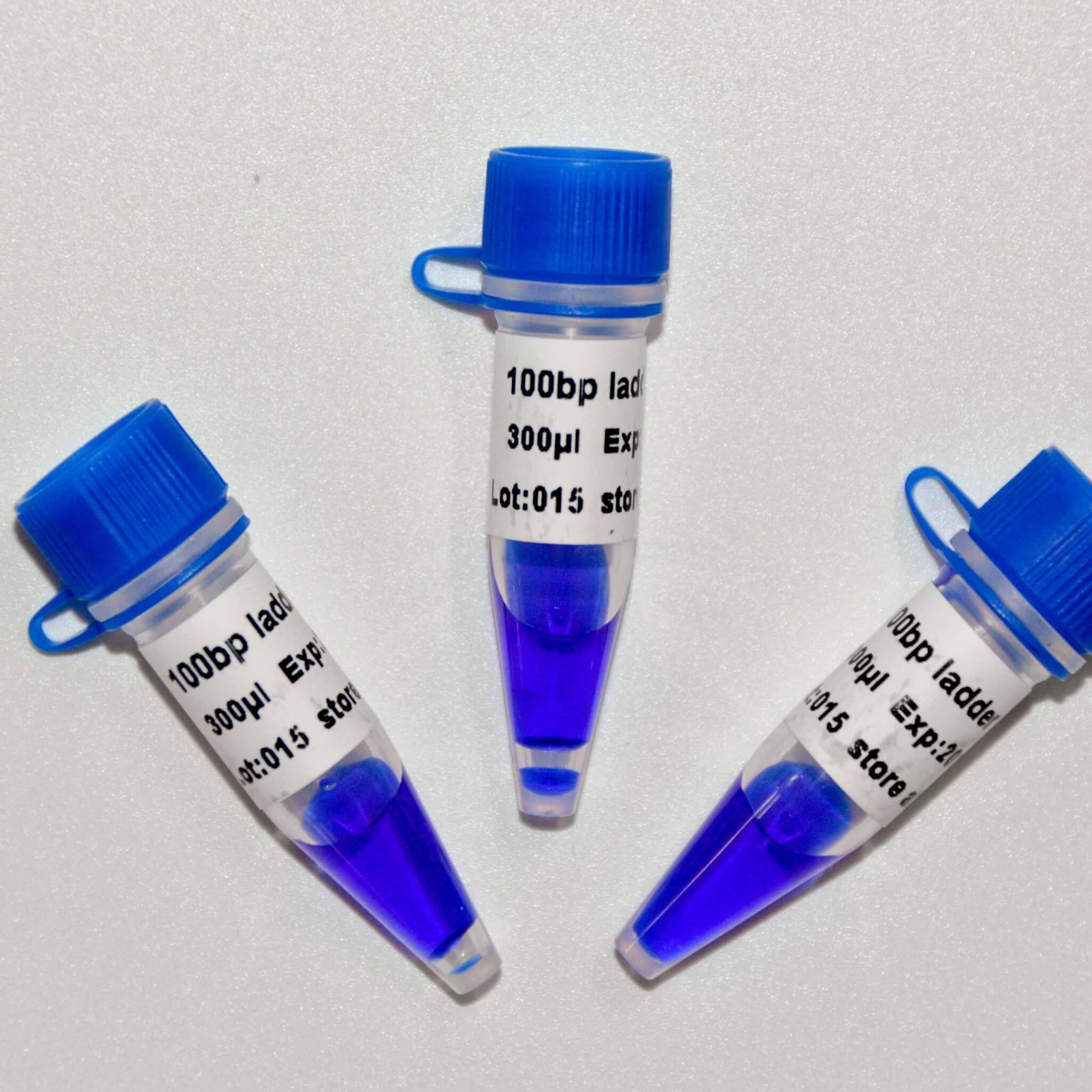 100bp Ladder Plus DNA Marker M1071/M1072