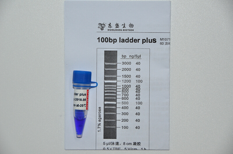 100bp Ladder Plus DNA Marker M1071/M1072