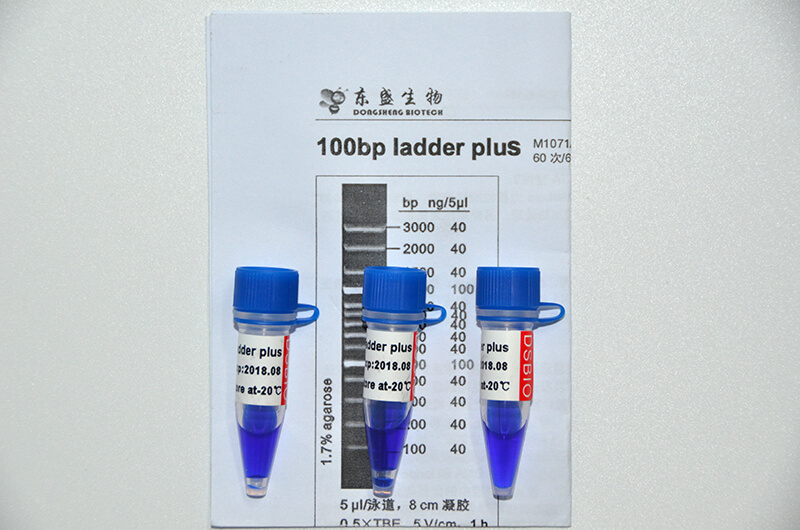 100bp Ladder Plus DNA Marker M1071/M1072