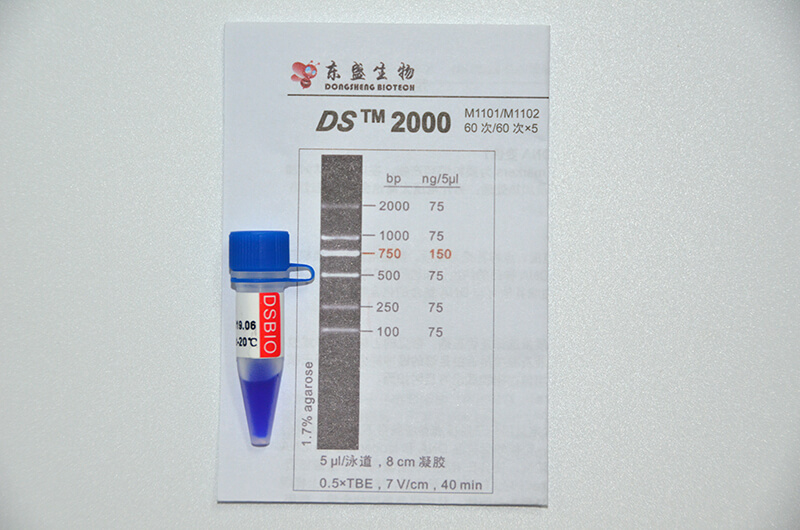 DS2000 DNA Marker M1101/M1102
