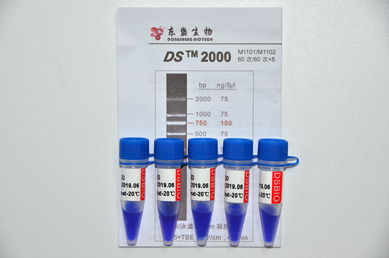DS2000 DNA Marker M1101/M1102