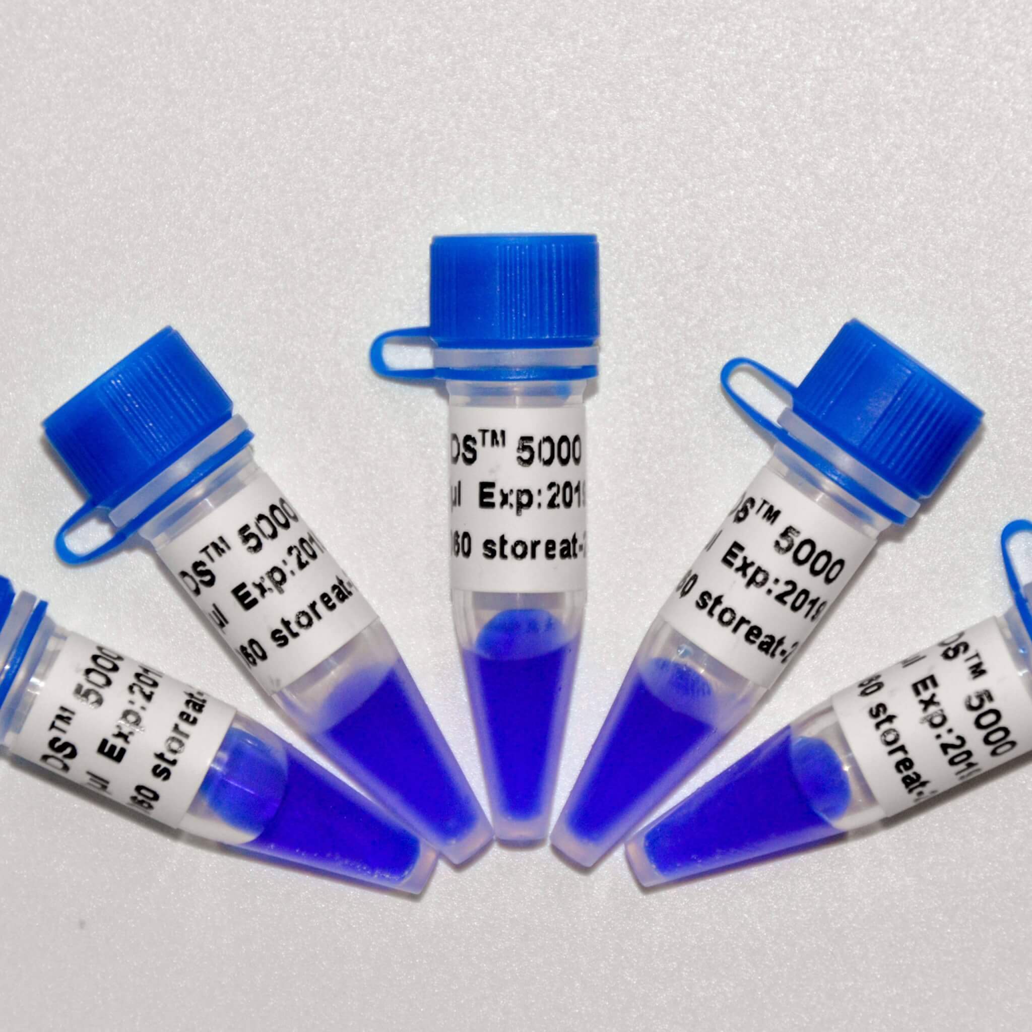 DS5000 DNA Marker M1111/M1112