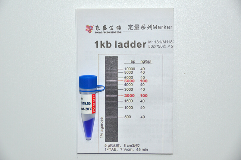 1kb Ladder DNA Marker M1181/M1182
