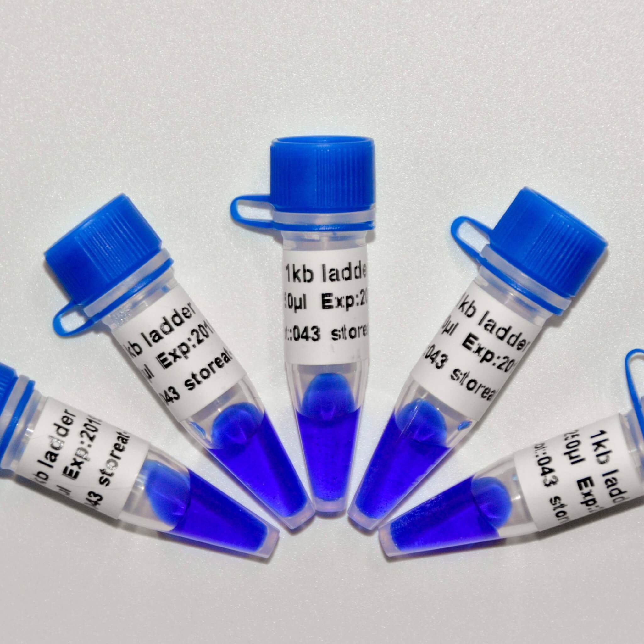 1kb Ladder DNA Marker M1181/M1182