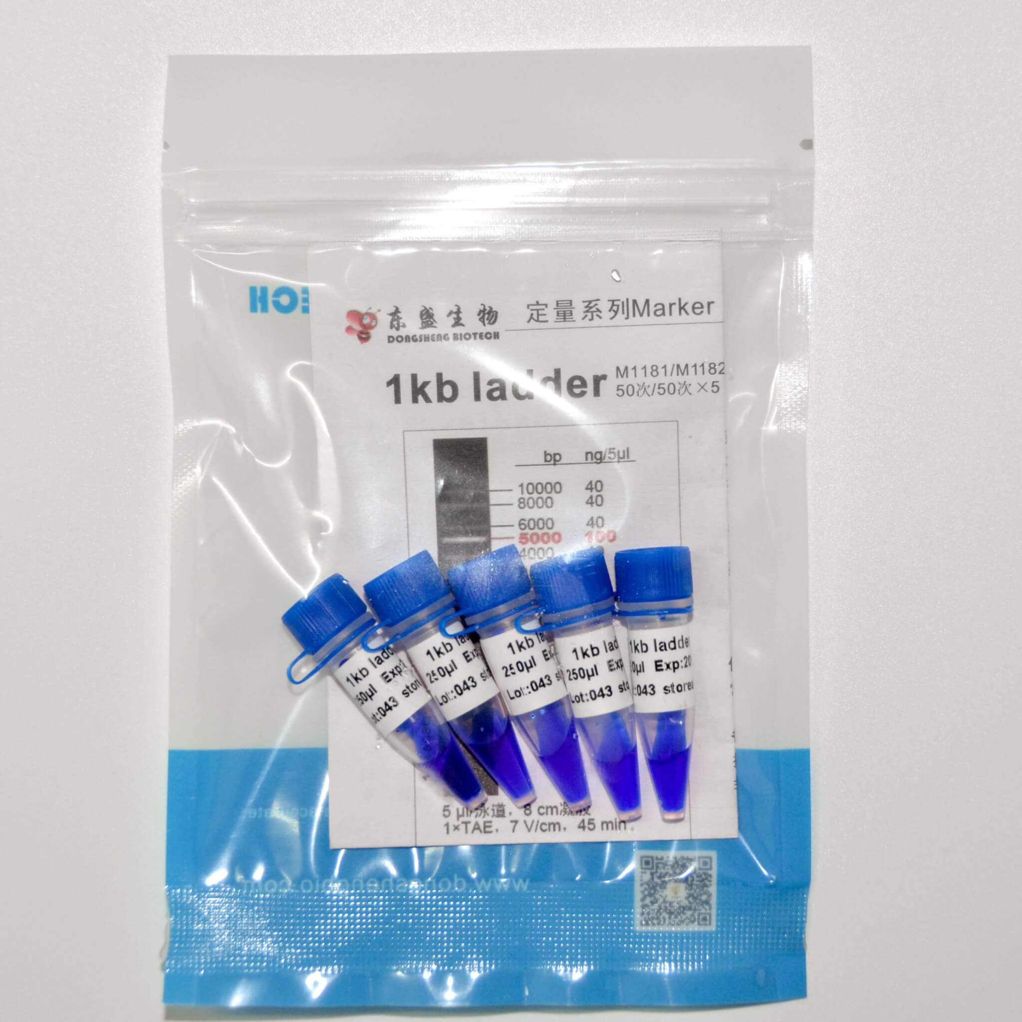 1kb Ladder DNA Marker M1181/M1182