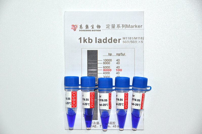 1kb Ladder DNA Marker M1181/M1182