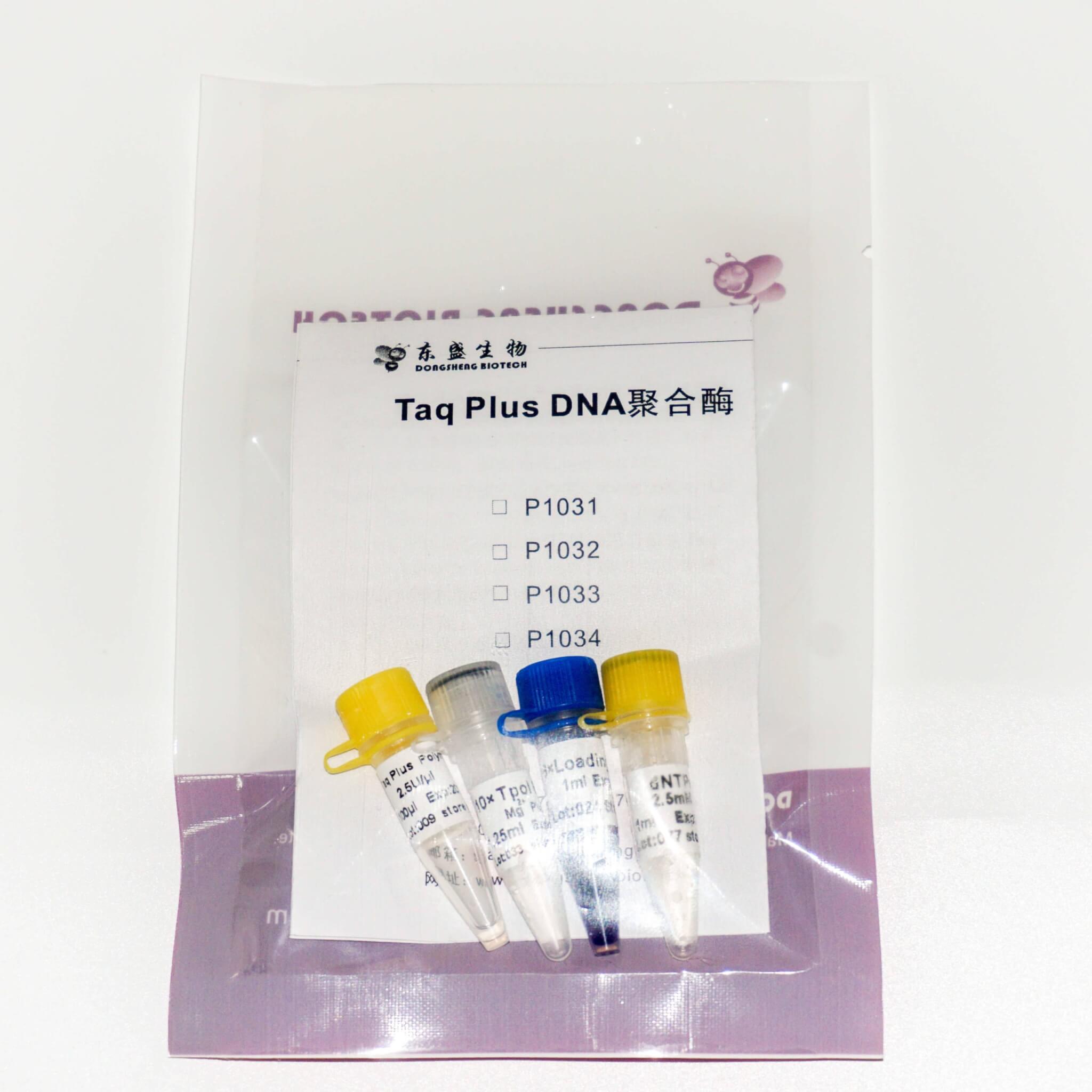 Taq Plus DNA Polymerase (P1031-P1032-P1033-P1034)