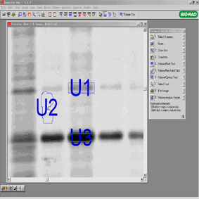 636df3ec32e76 636df3ec32e76