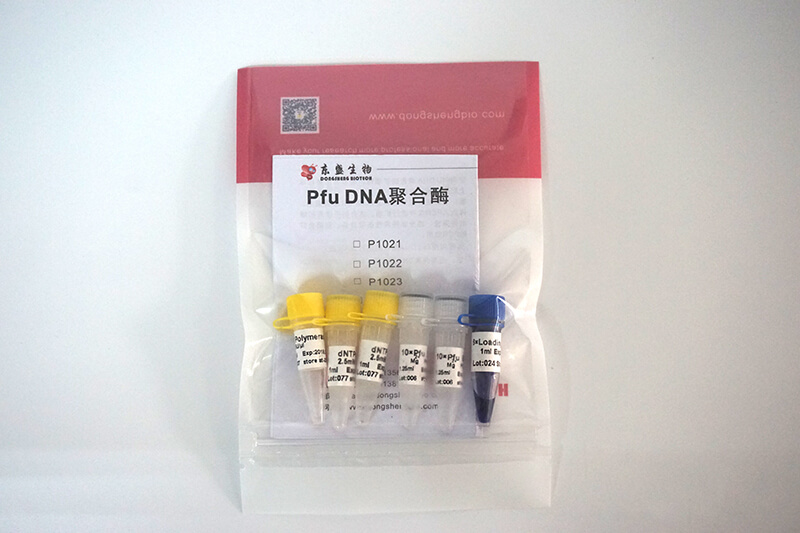 Pfu DNA Polymerase