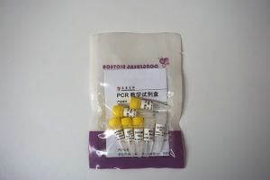 PCR教學(xué)試劑盒 （P8021-P8022）
