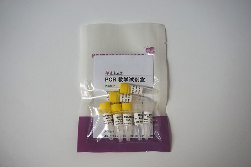 PCR教學(xué)試劑盒 (P8021-P8022)