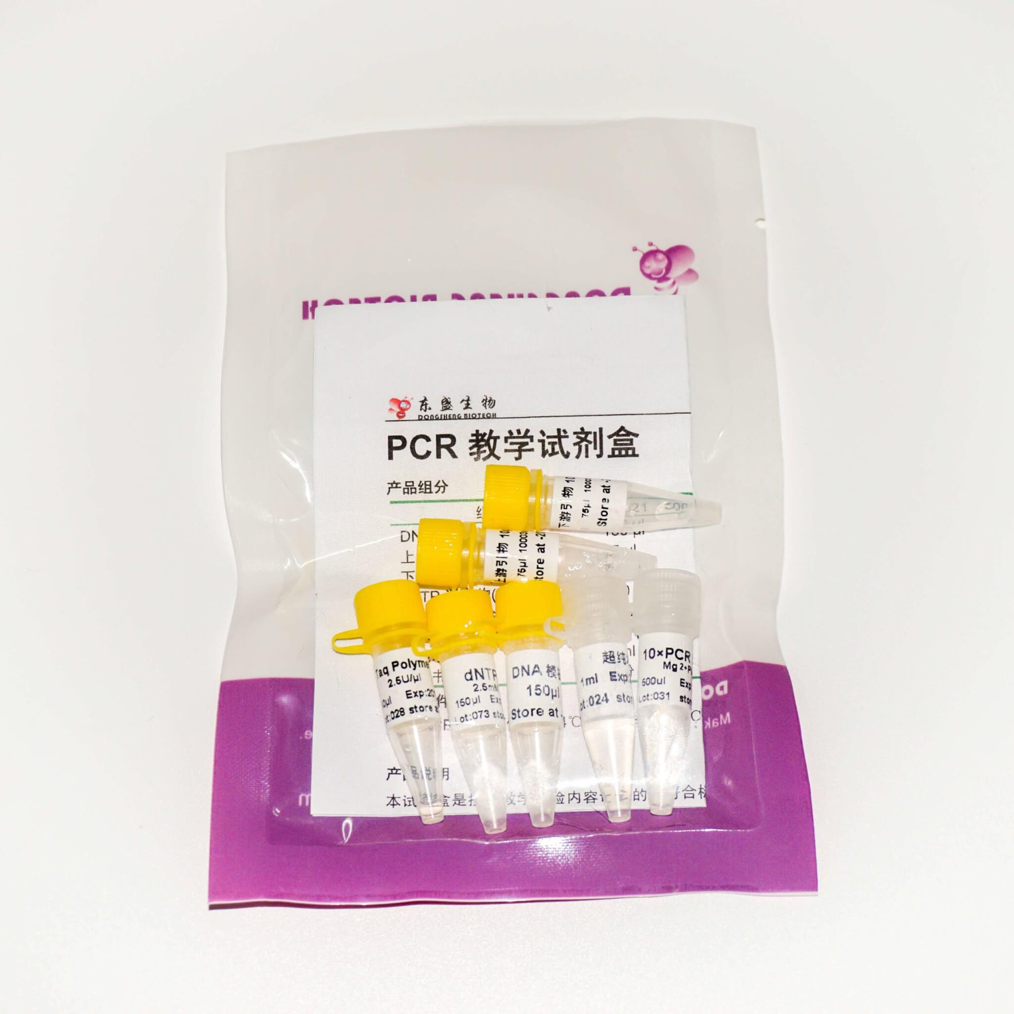 PCR教學(xué)試劑盒 (P8021-P8022)