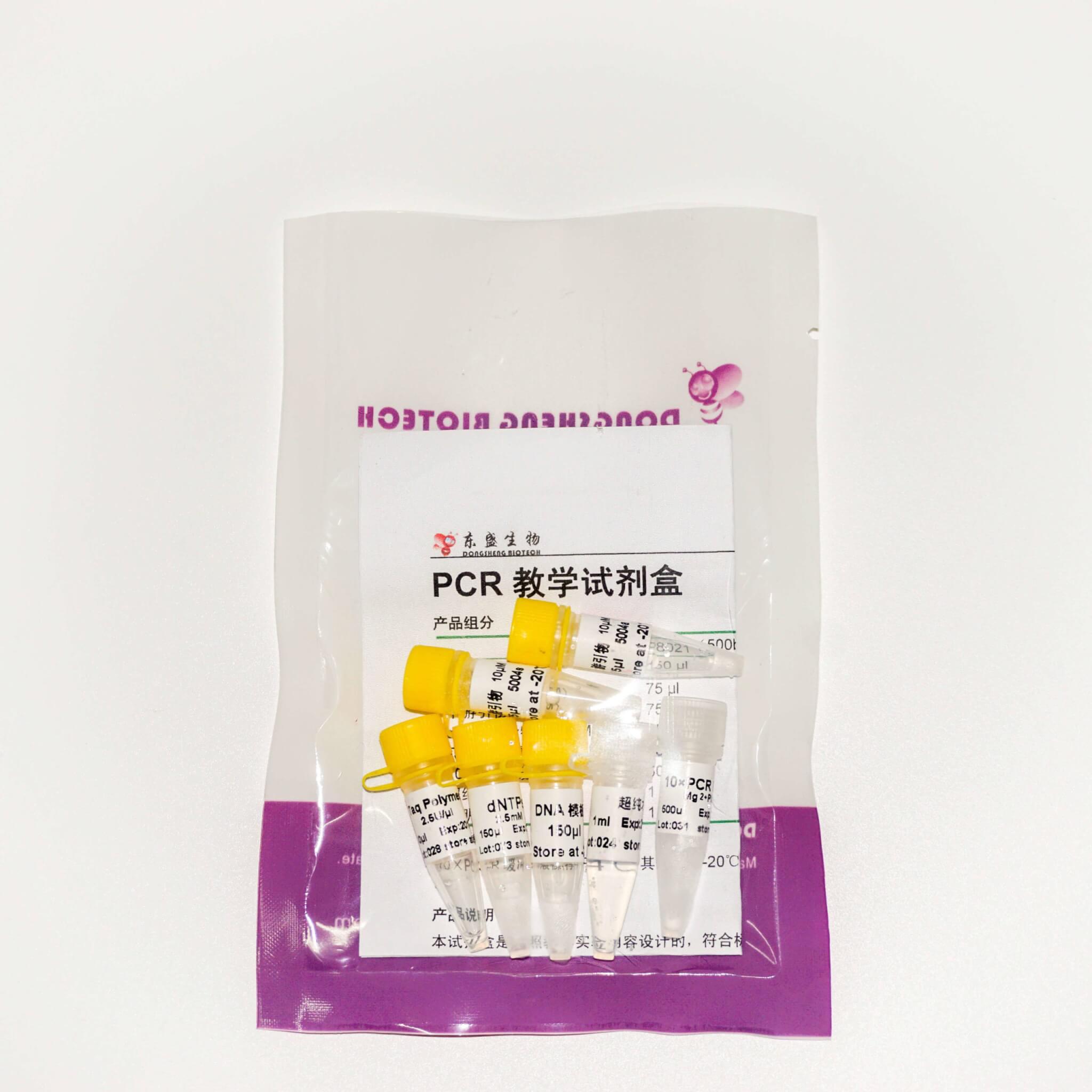 PCR教學(xué)試劑盒 (P8021-P8022)