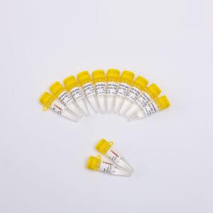 NGS Multiplex PCR Master Mix, 2X NM1001/NM1002/NM1003