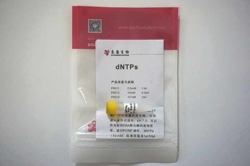 dNTPs(P9011-P9013)