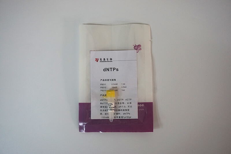 dNTPs(P9011-P9013)