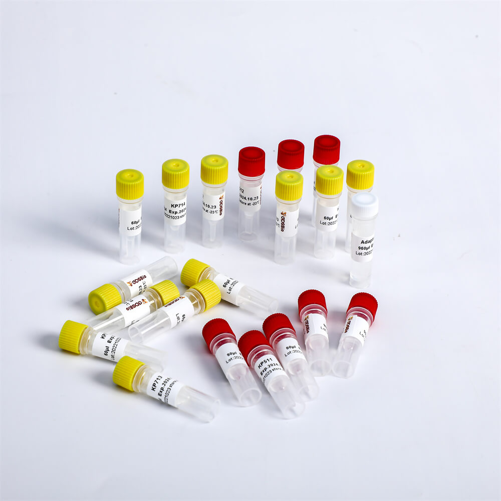 Multiplex Oligos 2 for Illumina K002-B(192rxns)