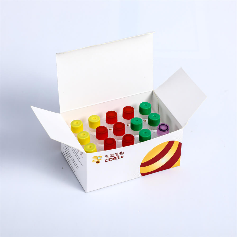 Fast DNA Library Prep Kit快速DNA建庫試劑盒 K001-A K001-B