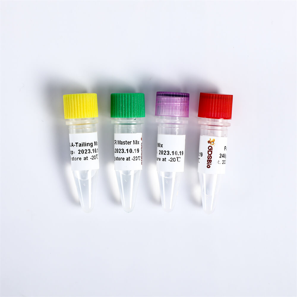 Fast DNA Library Prep Kit快速DNA建庫試劑盒 K001-A K001-B